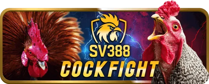 VNTOP88 cam kết cờ bạc có trách nhiệm và hỗ trợ người chơi