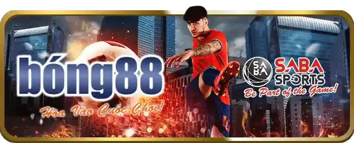 Hệ thống bảo mật VNTOP88